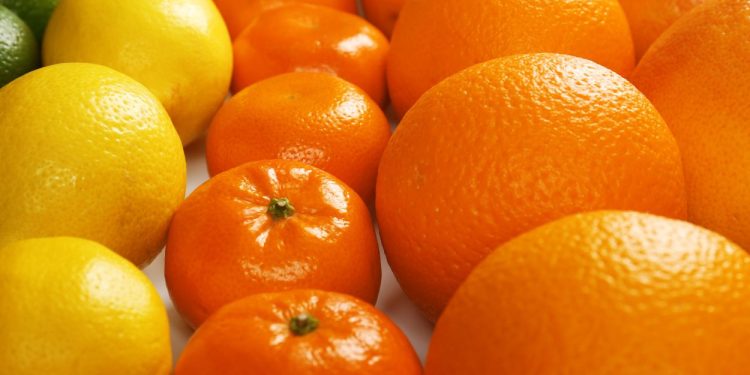 Tipos de laranja (imagem: Canva)